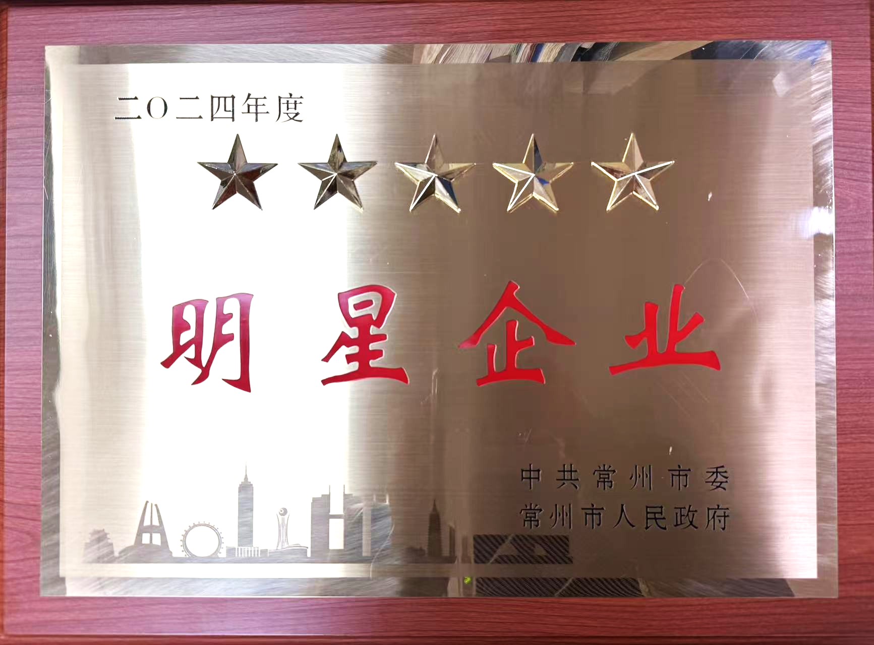 2024年度常州市現(xiàn)代服務(wù)五星企業(yè)獎牌.jpg